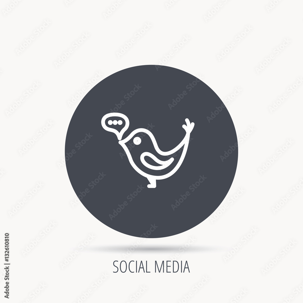 Poster bird with speech bubble icon. chat talk sign. social media concept symbol. round web button with fla