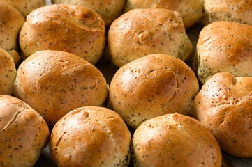 Homemade bread buns with poppy seeds.