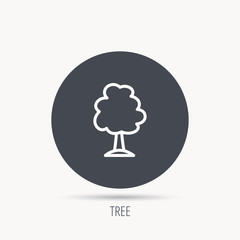 Tree icon. Forest wood sign. Nature environment symbol. Round web button with flat icon. Vector