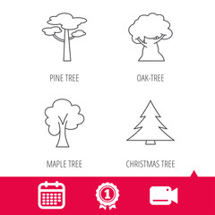 Achievement and video cam signs. Pine tree, maple and oak-tree icons. Forest trees linear signs. Calendar icon. Vector