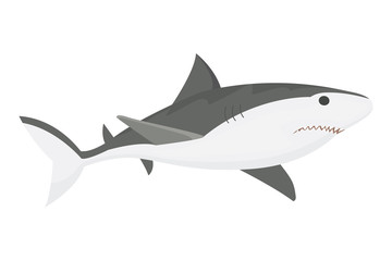 Obraz premium Vector shark character.