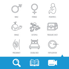 Fertilization, pregnancy and pediatrics icons. Baby child, whale and octopus linear signs. Treasure chest, double bed icons. Video cam, book and magnifier search icons. Vector