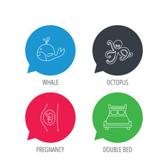 Colored speech bubbles. Whale, octopus and double bed  icons. Pregnancy linear sign. Flat web buttons with linear icons. Vector