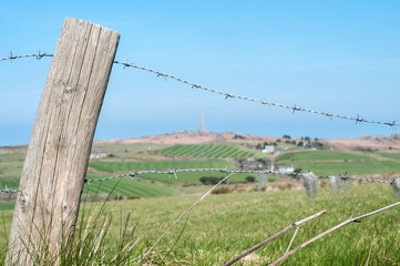 Untitled Landscape #24