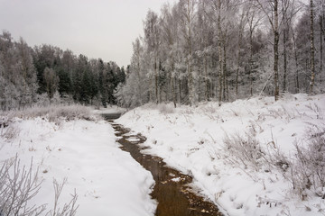 A beautiful winter landscape.