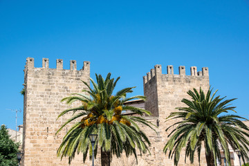 Alcudia Stadt auf  Mallorca in Spanien