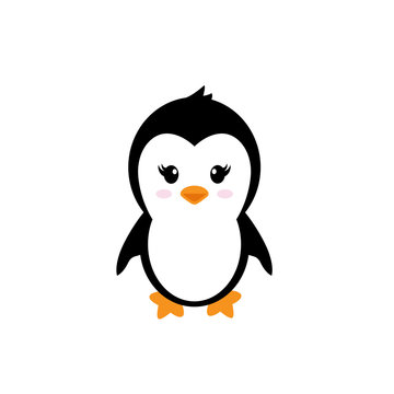cartoon cute penguin girl