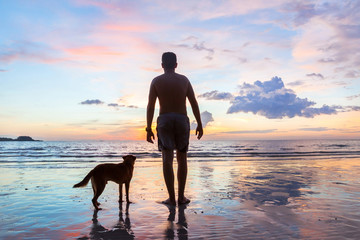 silhouette of man with dog on the beach, friends together