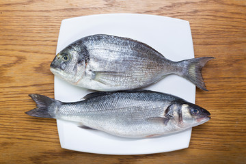 Fish sea bass and dorado