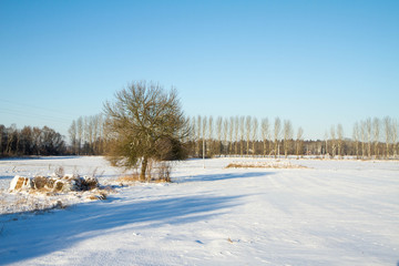Winter landscape - fields covered with snow