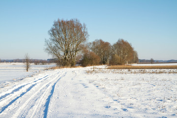Winter landscape