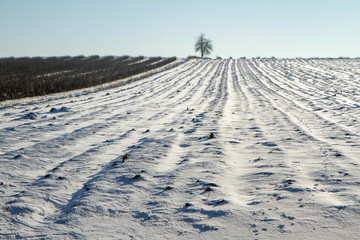 Winter landscape - fields covered with snow
