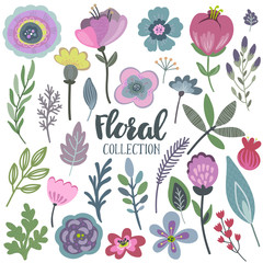Vector graphic set with beautiful flowers, leaves, branches, berries.