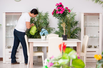 Man taking care of plants at home