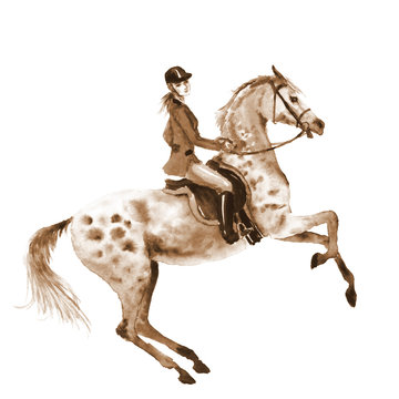 Watercolor rider and horse on white. Sepia horseman girl on rearing up stallion. England equestrian sport. Hand drawing illustration