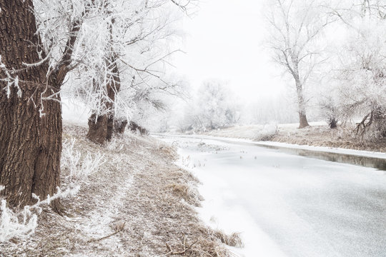 Trees covered in frost on frovezen up river bank