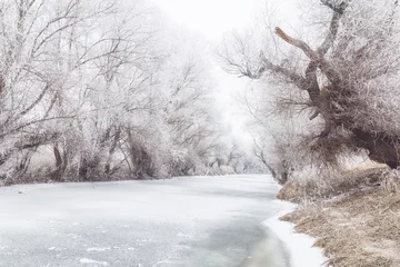 Schilderijen op glas Frozen river in winter © oliverleicher