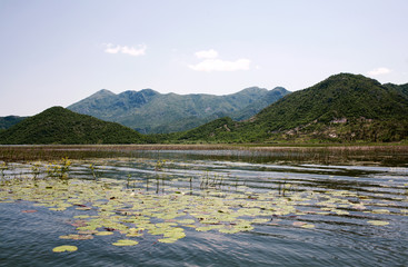 Lake Skadar, a national Park of Montenegro