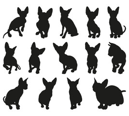 Sphynx Cat Detailed Vector Silhouettes