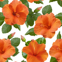 orange hibiscus flowers seamless pattern