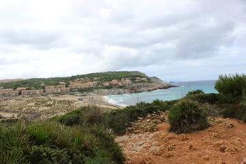 Mallorca,Cala Mesquida,Zwergpalmen