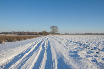 Fototapeta na wymiar Winter landscape - a road among fields