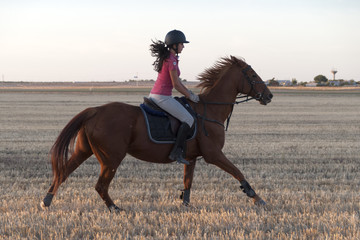 caballo galopando