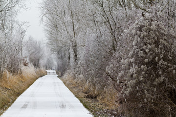 Straßen, Pfade und Wege im Winter: Natur genießen