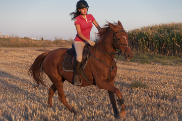 caballo galopando