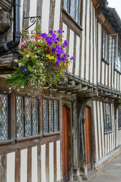 Old windows and flowers with historic building. Pot with colorfu