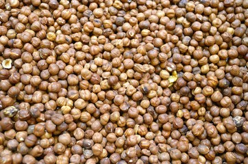 Closeup hazelnut background