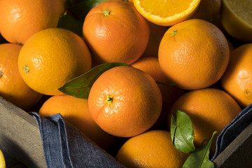 Raw Organic Orange Oranges