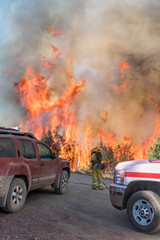 Obraz na płótnie Canvas Firefighters Fighting Wild Fire