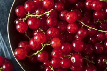 Raw Organic Red Currants