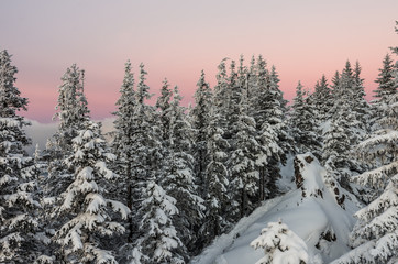 Winter landscape, Poland, mountain forest in the evening
