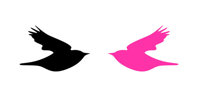 Logo with Dove in Pink and Black Colors