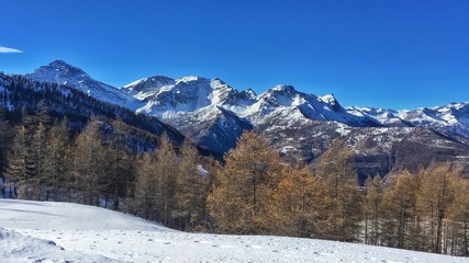 Naklejka premium panorama alpino innevato