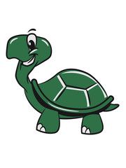 Turtle cute sweet funny witty