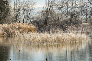 Lac Saint André - Les Marches - Savoie.