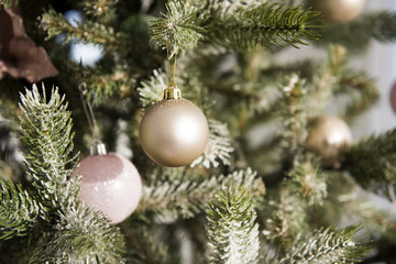 Christmas tree and Christmas decorations
