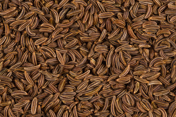Close up caraway seeds