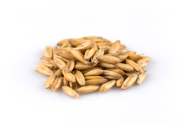 pile of organic oat grains