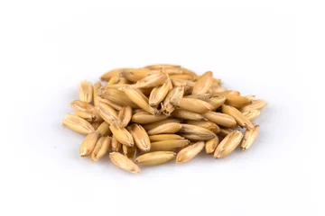 Fototapeten pile of organic oat grains © VertigoBarrov