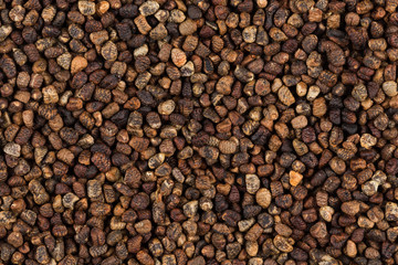 Decorticated cardamom seeds