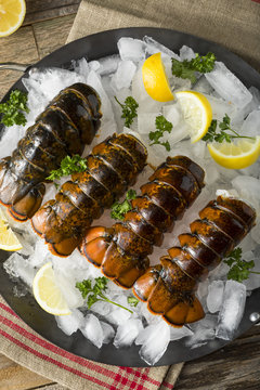 Raw Organic Fresh Lobster Tails