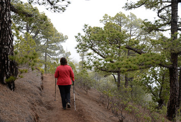 Obraz premium Wandern auf La Palma