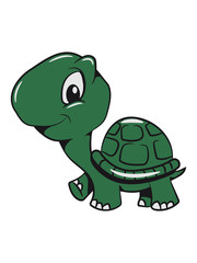 Turtle cute darling funny
