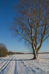 Winter landscape - a road among fields