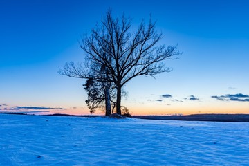 Colorful winter after sunset landscape