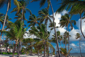 Barceló Bávaro Grand Resort